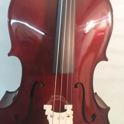 Celestini 3/4 Size 'Cello-Brand New-with Shop Setup-Bag and Bow Included! image 3