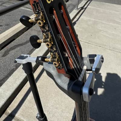 Cort Gold OC8 Nylon/Electric 2010 - natural gloss image 4
