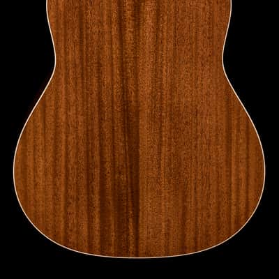 Taylor Gold Label 517e - Sunburst #85029 (NAMM 2026) image 2