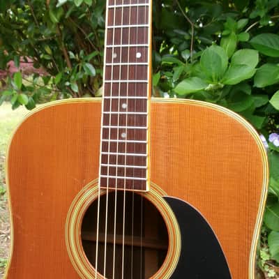 Takamine Elite TW60  Brazilian Rosewood '70 Natural+Hard Case image 8