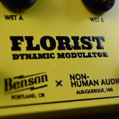 Immagine Benson Amps Florist (Yellow) - 4