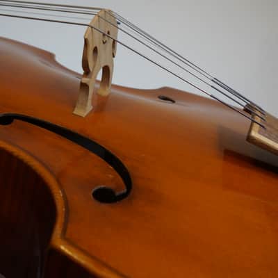 Viola da Gamba Helmut Buchsteiner 6 saitig 1977 - Varnish image 6