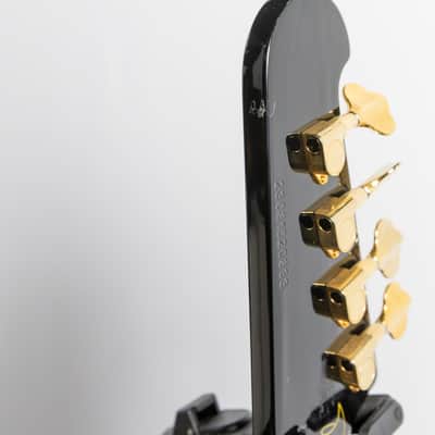 Epiphone Rex Brown Thunderbird Bass, Ebony | Demo image 23