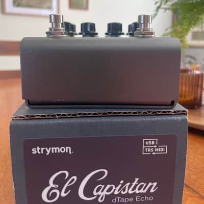 Strymon El Capistan V2 2022 - Present - Grey image 8