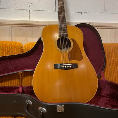 IBANEZ AW100 acoustic guitars