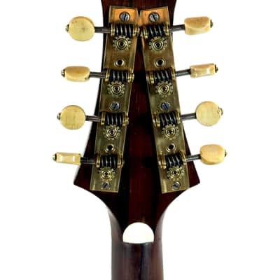 Mandoline Raffaele Calace N°2 de 1910 image 14