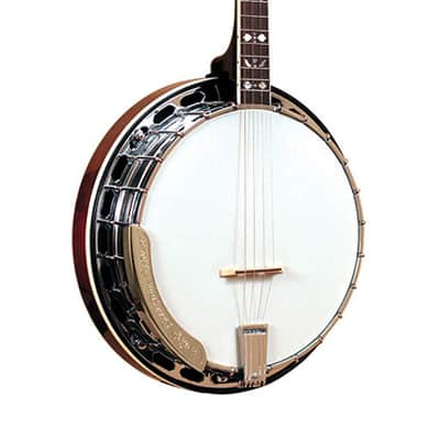 Gold Tone TS-250 Professional 4-String Tenor Banjo image 1