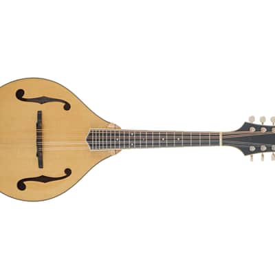 Bourgeois M5-A Mandolin #M0623106 image 4