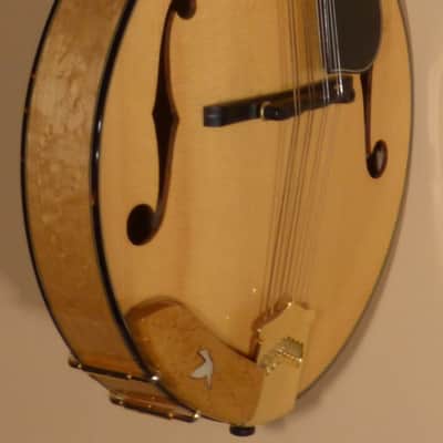 2007 Collings MT2 V image 3
