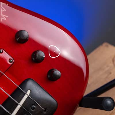 2004 F Bass BNF5 Fretless Transparent Red image 8