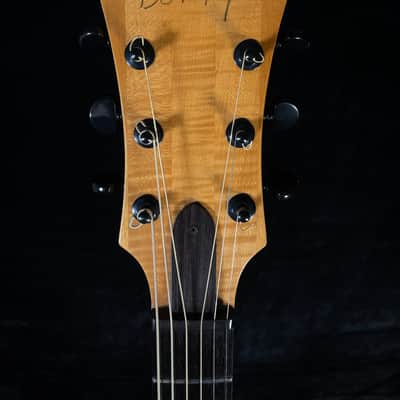 Benedetto Knotty Pine Special 17" Archtop - One of a Kind Collector's Instrument image 8