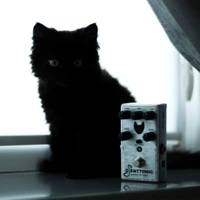 Djenttonic (S) | high-gain distortion, from classic to heavy modern tone! Finished sound for Metal or Djent! Lithium power source and USB Type-C port for charging! image 10