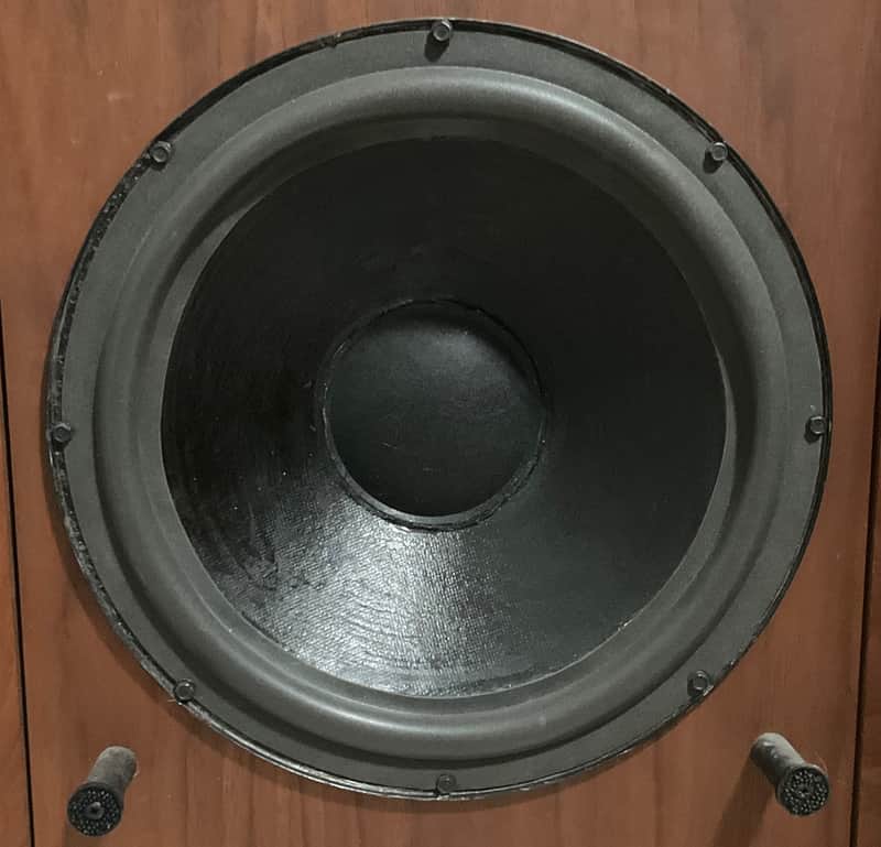 Infinity  Watkins  Dual voice coil woofer. 2 ohm + 4ohm image 1