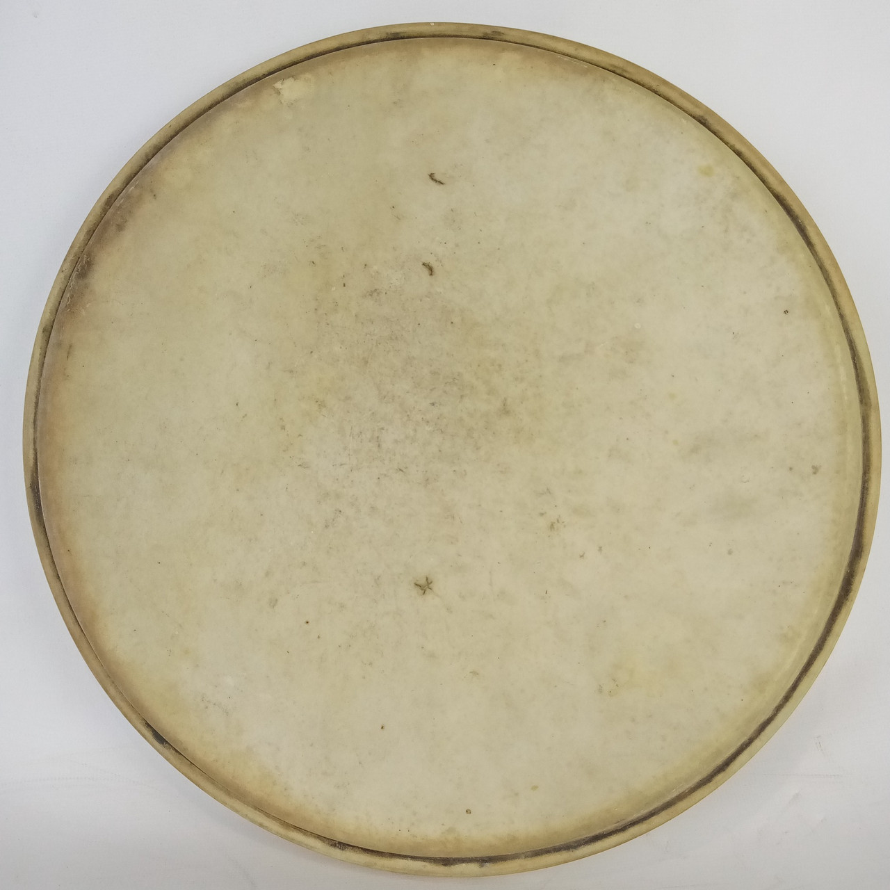 Leedy / Ludwig WFL 11" Calf Skin Tom Drum Head Vintage 30s-40s Batter/Resonant — main photograph