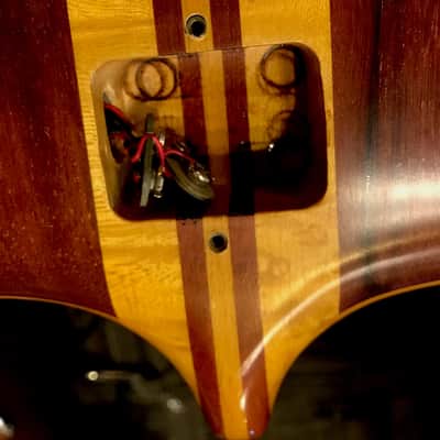 Alembic LSG Series I 12-string 1977 image 15