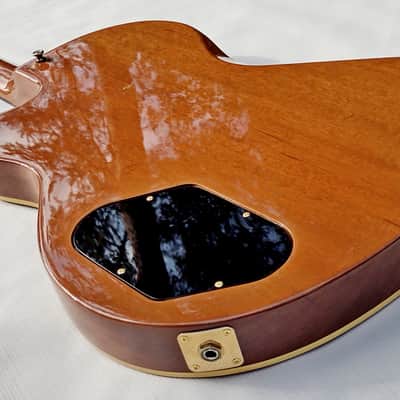 Gibson Chet Atkins SST 1993 image 12