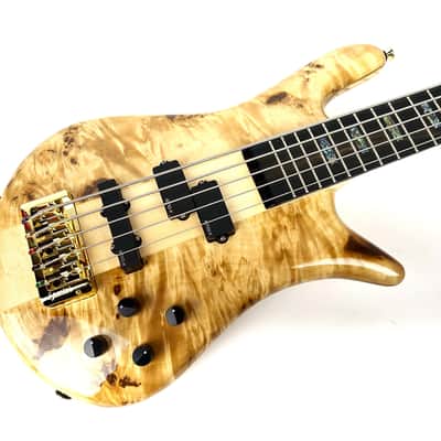 Spector Euro CST 5st. 2026 - Gloss Natural image 1
