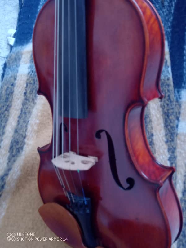 Very fine Viola 5 Strings A.Eastman 2009 image 1