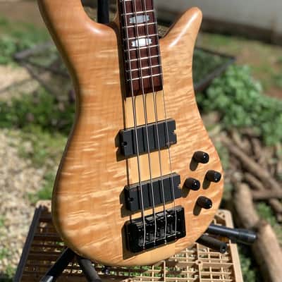 Spector Euro-LX 435 2009 35" Scale Hard Case image 1