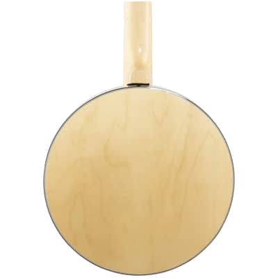 Gold Tone GT-500 Banjitar Deluxe 6 String Banjo image 5