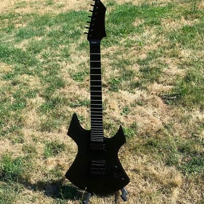 Custom R L James Guitar Custom Animal 2026 - Custom image 13