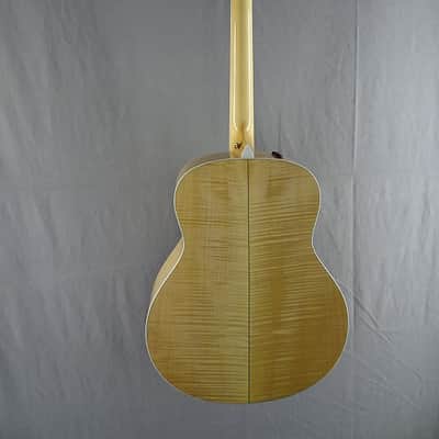 Taylor 618e Natural image 2