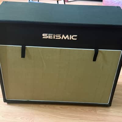 Seismic Audio 2 x 12 cabinet only