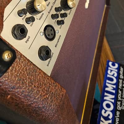 Marshall Acoustic Soloist AS100D 2-Channel 100-Watt 2x8" Acoustic Guitar Combo image 6