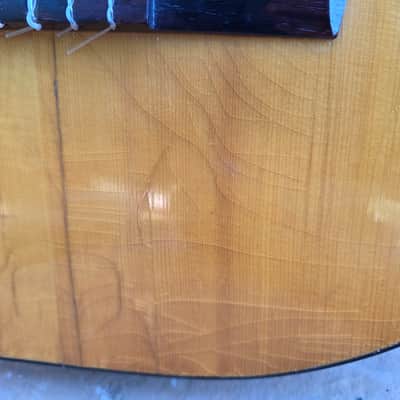 1967 Goya G-10 Classical nylon string acoustic guitar Folk Country Sweden image 7