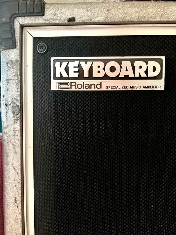 Roland Cube 100 Keyboard Amplifier With Wheels image 1