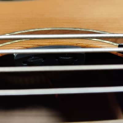 Ortega RCE 159-8 Performer Series 8-String Guitar image 10