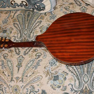 Marvel mandolin mahogany built in flamed wood resonator all in one must sell reduced price a lot image 12