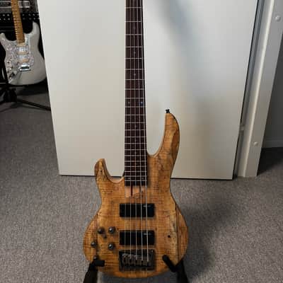 ESP LTD B-205 LH Left-Handed - Natural Satin image 2