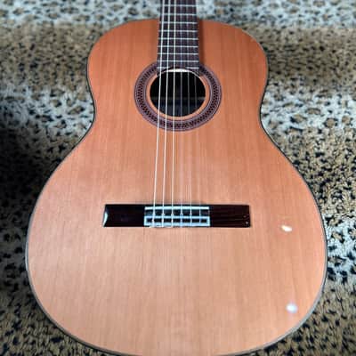 Cordoba C7 CD/IN Classical Guitar Natural 2025 image 4