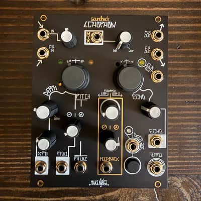 Make Noise Echophon Module - Black & Gold image 1