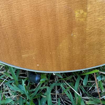1996 Taylor 655, Blonde Jumbo 12 String, OHSC image 15