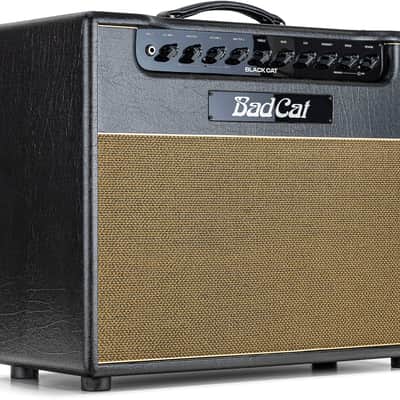 Bad Cat Black Cat Guitar Combo Amplifier (20 Watts, 1x12") image 2