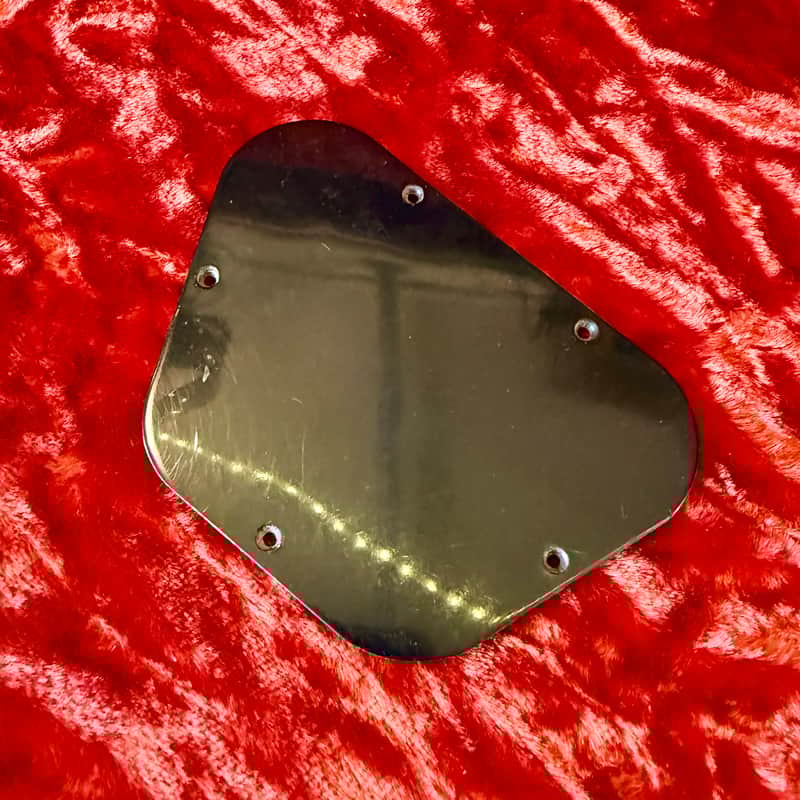 1980 Epiphone Genesis back plate Black