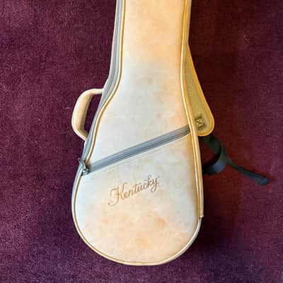 Kentucky KM-140 A-Style Mandolin 2020’s - Sunburst image 6
