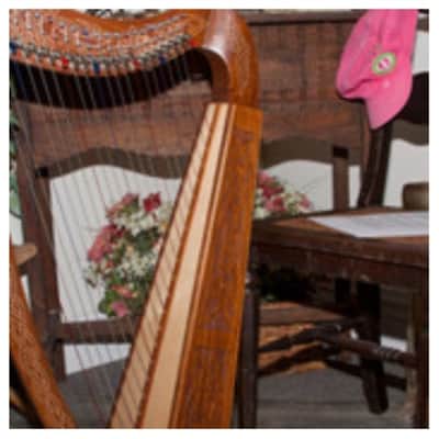 Roosebeck HTHAC-K | Heather Harp 22-String Chelby Levers Knotwork image 5