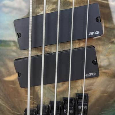 RedSub Coliseum Fanned Fret 5-String Bass, Blue Burl Burst w/EMG's & Upgrades image 3