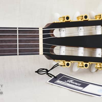 Ibanez AEG50NBKH Acoustic/Electric Nylon (s/n: 0678) image 6