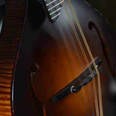 Collings MT Mandolin Left Handed 2014 - Sunburst image 14