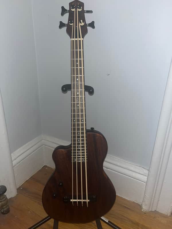 Gold Tone  ME-Bass: 23-Inch Scale Electric MicroBass 2015 Mahogany Natural/Satin image 1