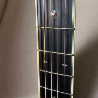 Martin Trey Anastasio Signature Edition DC Fishman Ellipse image 11