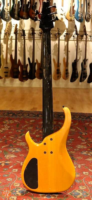 Immagine Modulus Quantum Five-String Natural 1993 - 3