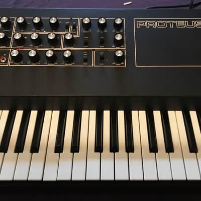 Paia Proteus 1 1979 - Black image 1