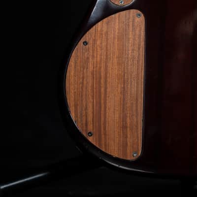 Peavey Cirrus Custom Shop 6 String bass - The "Poor Man’s Ken Smith" of Ghospel image 19
