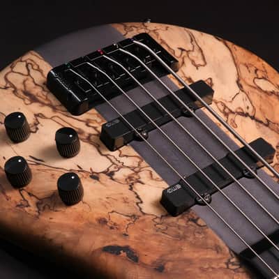 Spector CST limited Edition 2026 - Spalted Maple image 4