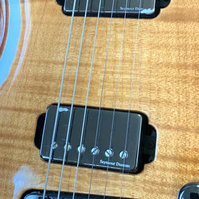Godin LGX-S Light Burst 1999 image 8